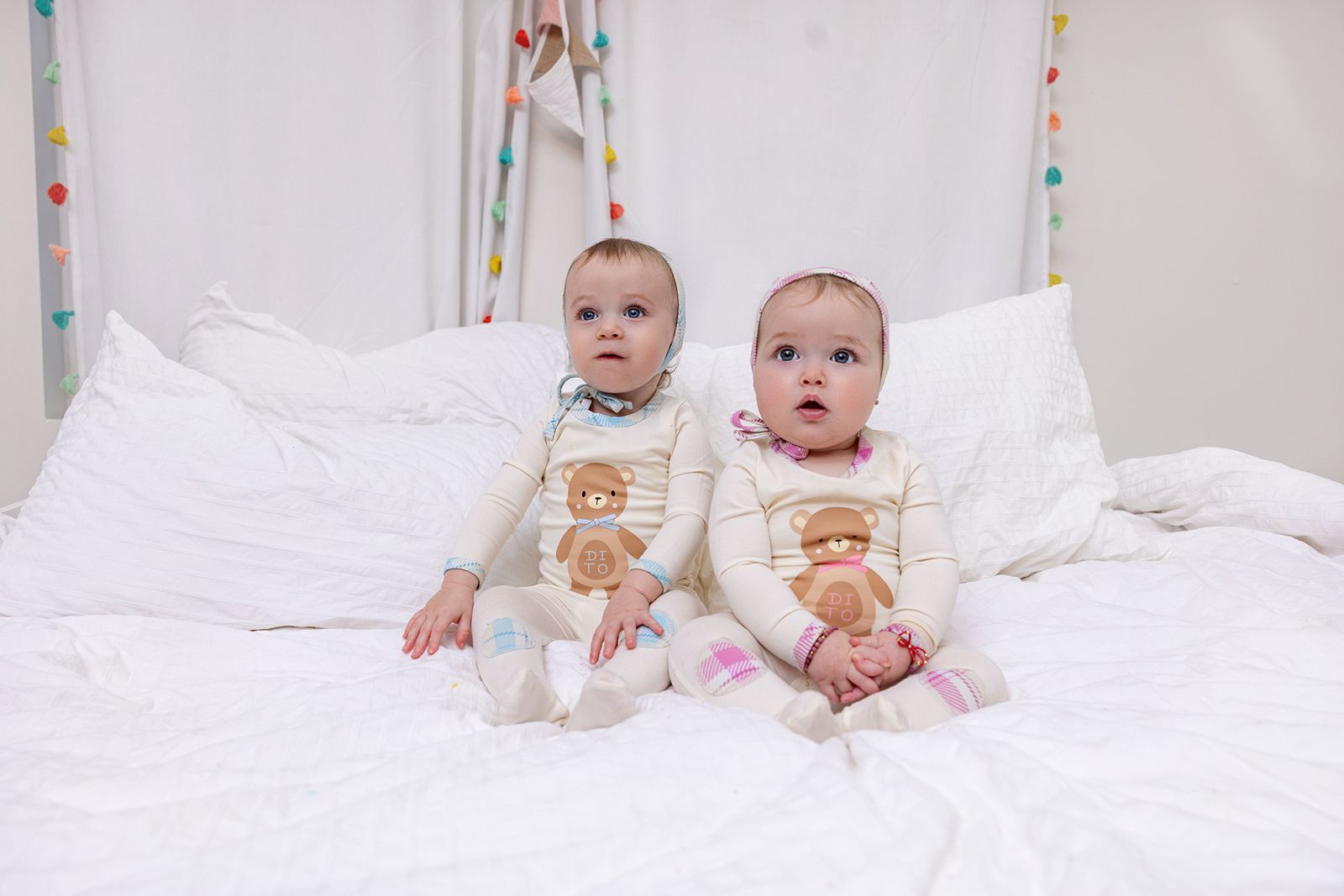 The Dreamy Bear Collection